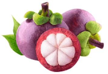 Cereza de café orgánico